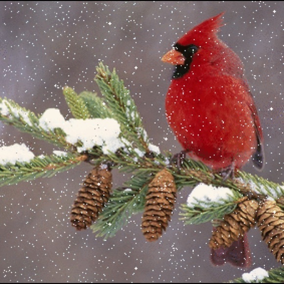 Meet your Posher - Picture 1 of 1